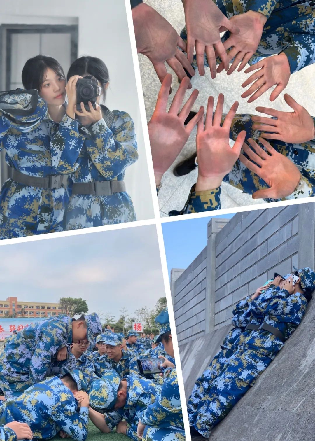 整合.jpg 图片